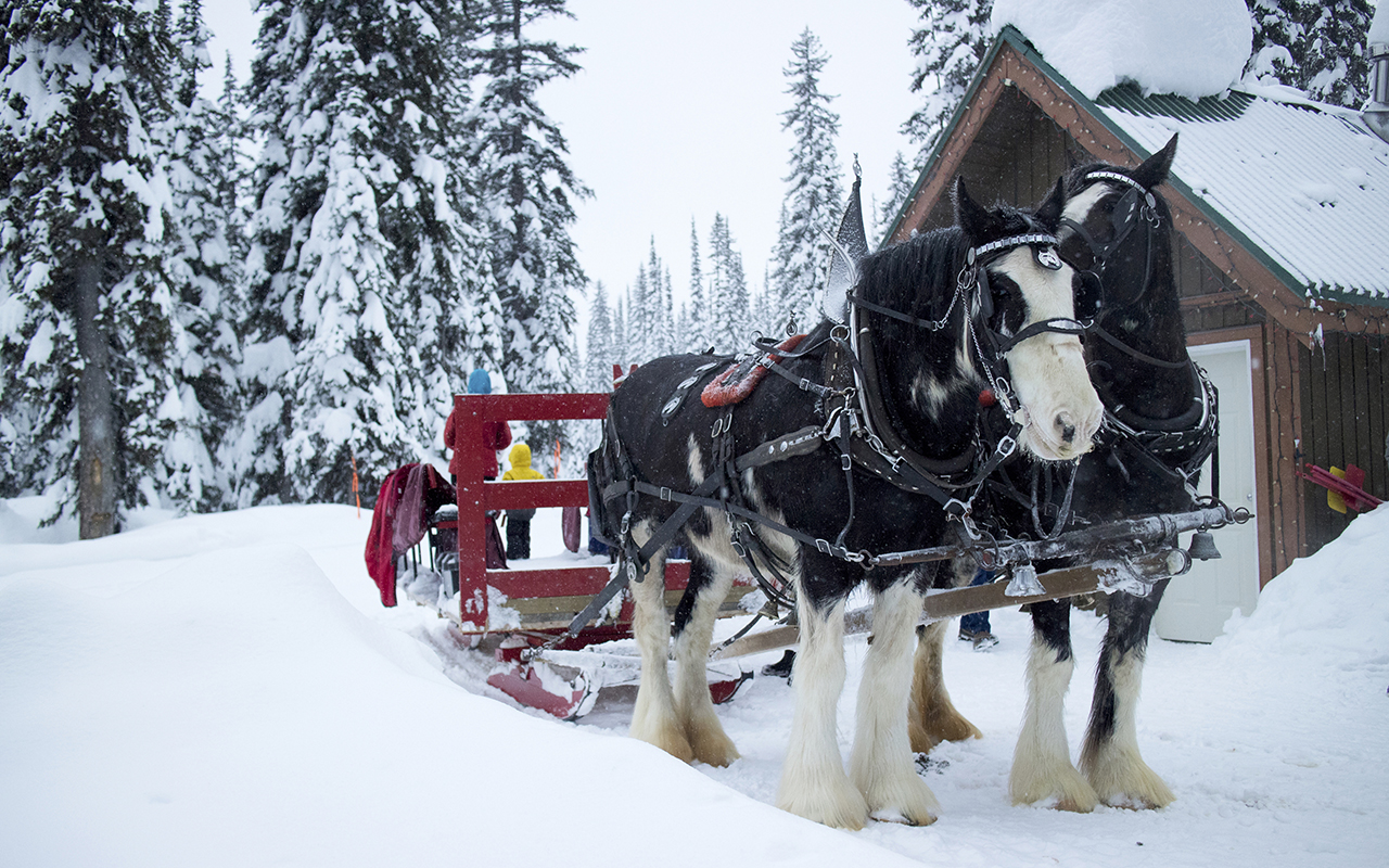 Sleigh Day Meaning